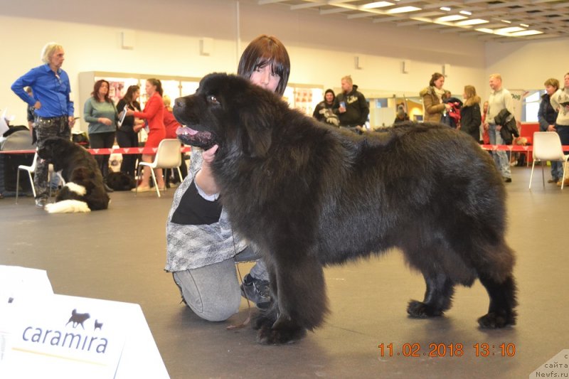 Фото: NEWFOUND TREASURE HANDSOME HERO