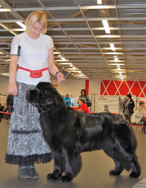 Фотография № 233854