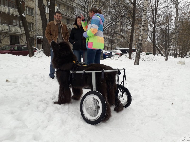 Фотография № 233880