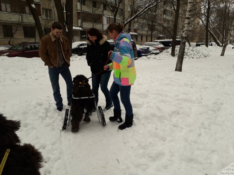 Фотография № 233883