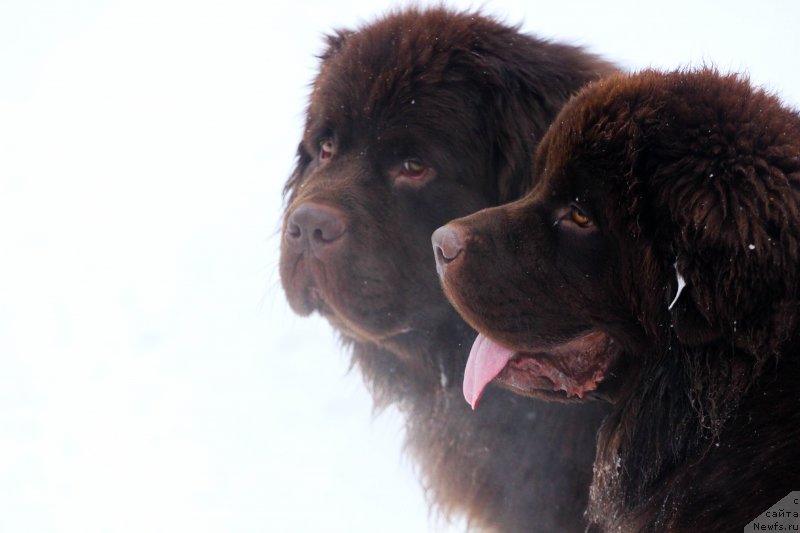 Фотография № 233901