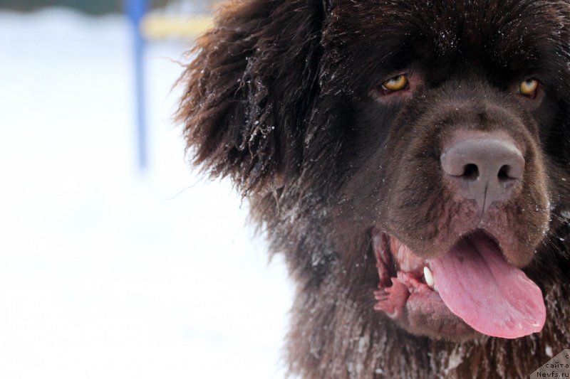 Фотография № 233903