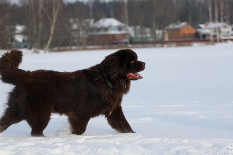 Фотография № 233904