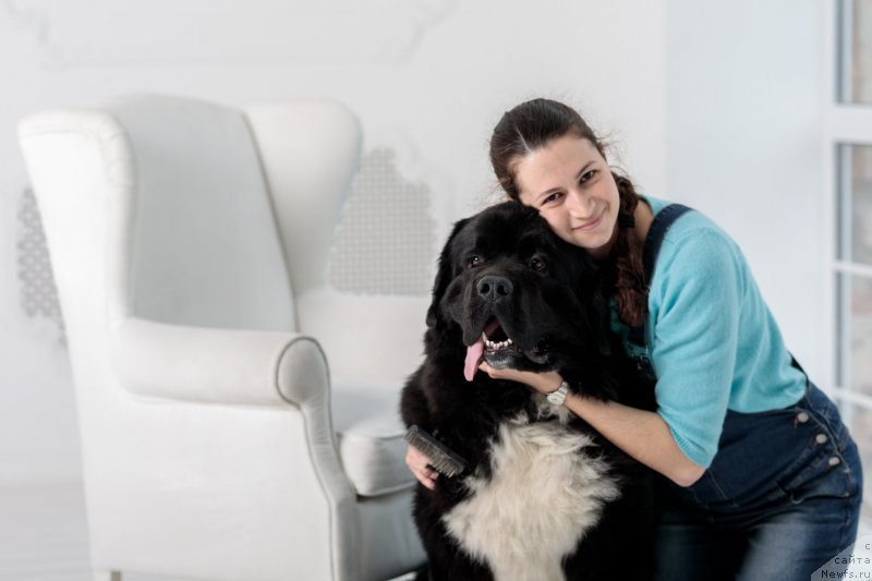 Фото: Анна Агакишиева, ньюфаундленд Супер Бизон Татонка