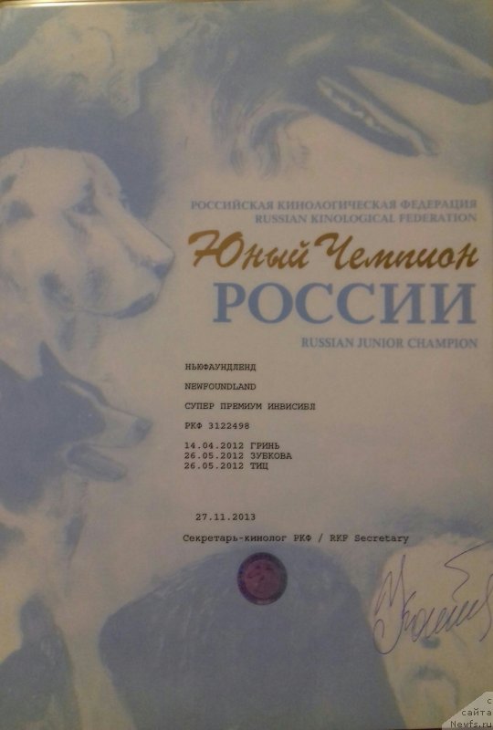 Фото: ньюфаундленд Супер Премиум Инвисибл (Super Premium Invisible), ньюфаундленд Супер Премиум Инвисибл (Super Premium Invisible)