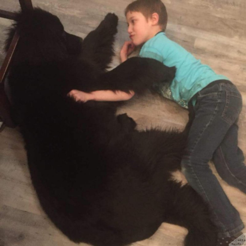 Фотография № 233953