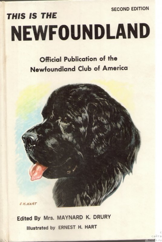 Фотография № 233964