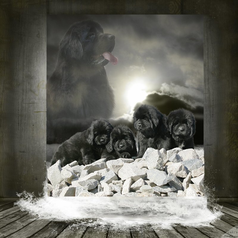 Фотография № 234000