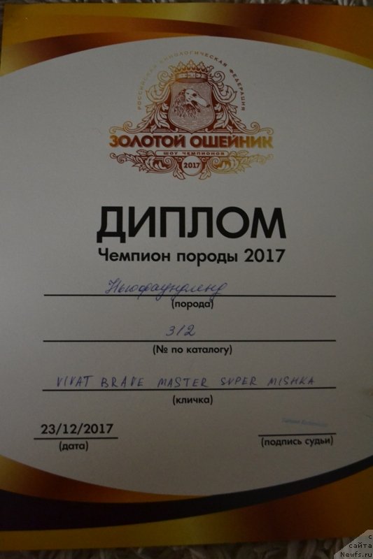 Фото: ньюфаундленд Vivat Brave Master Super Mishka