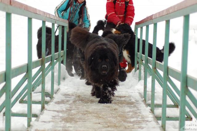 Фотография № 23402