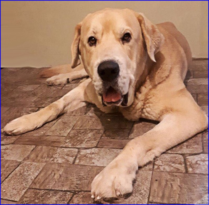 Фото: Лена Зырина