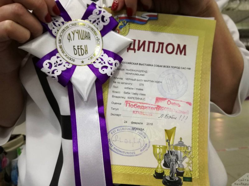 Фотография № 234034