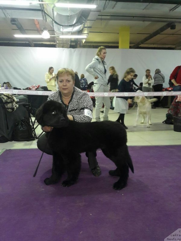 Фотография № 234035