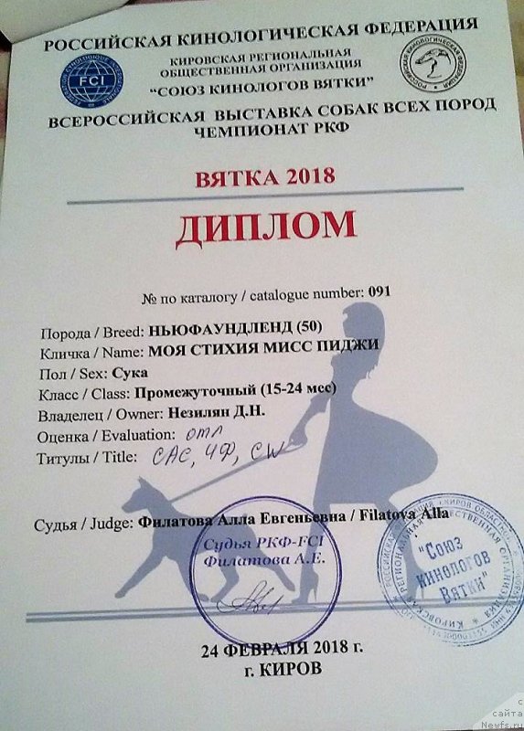 Фото: ньюфаундленд Моя Стихия Мисс Пиджи