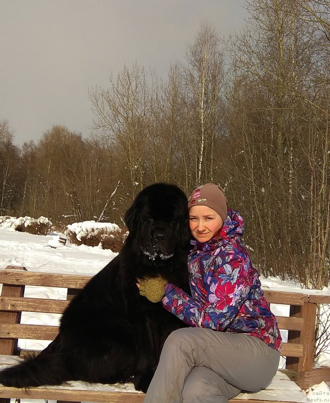 Фотография № 234044