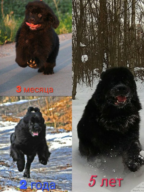 Фотография № 234047