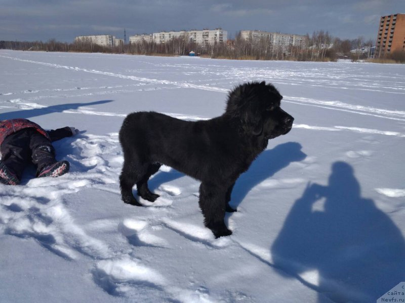 Фотография № 234050