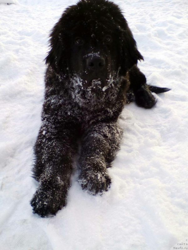 Фотография № 234051