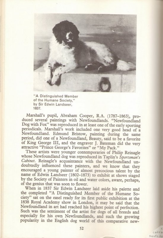 Фотография № 234060