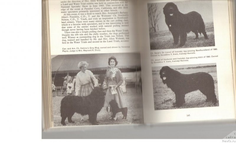 Фотография № 234061