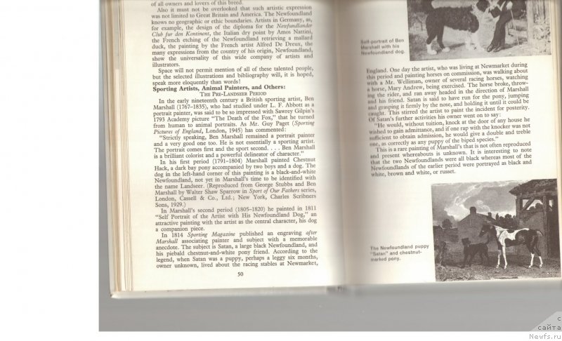 Фотография № 234063