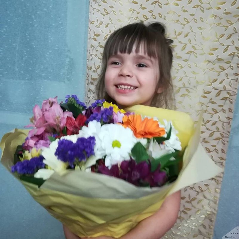 Фотография № 234095