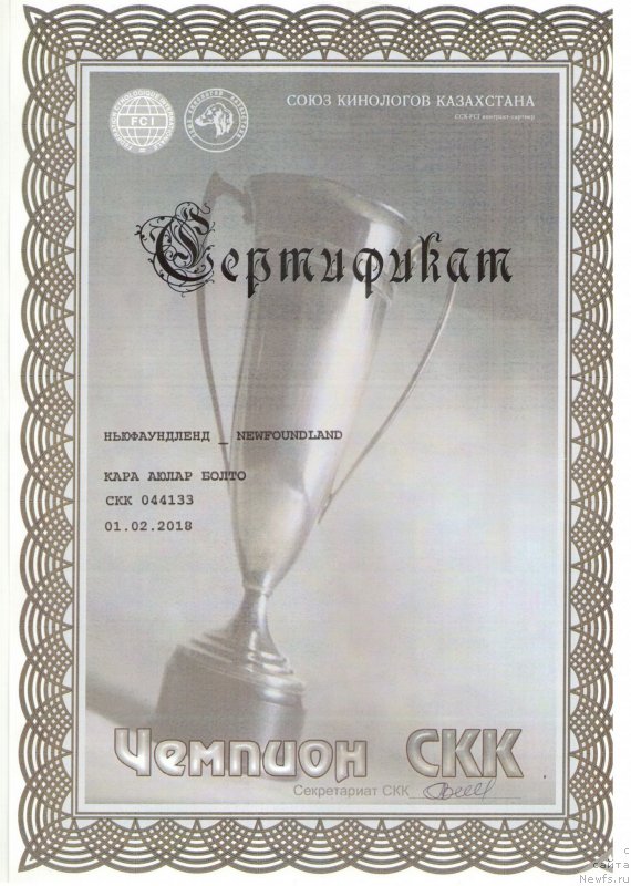 Фотография № 234102