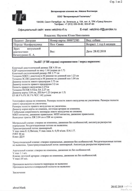 Фото: ньюфаундленд Черная Мафия Бекаусе И Ам Вортх Ит (Chernaya Mafia Because I Am Worth It)