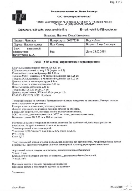 Фото: ньюфаундленд Черная Мафия Баск То Тхе Футуре (Chernaya Mafia Back To The Future)