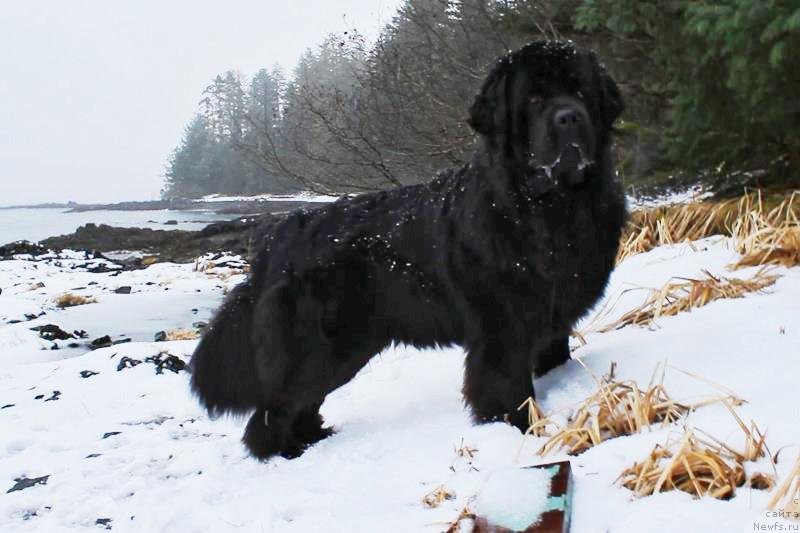 Фотография № 234124