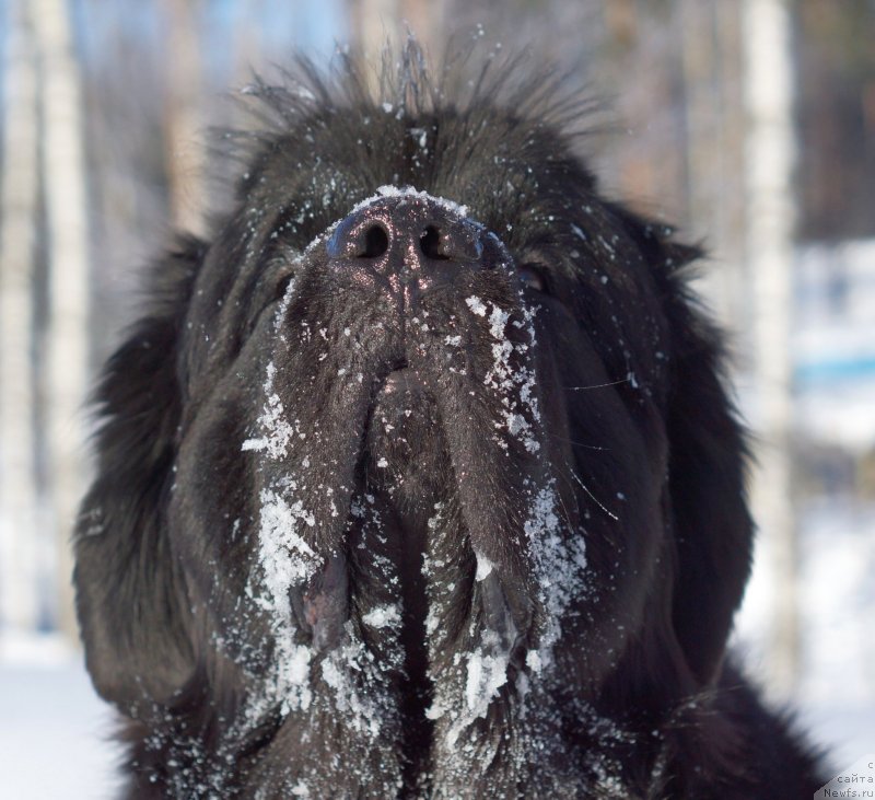 Фотография № 234128