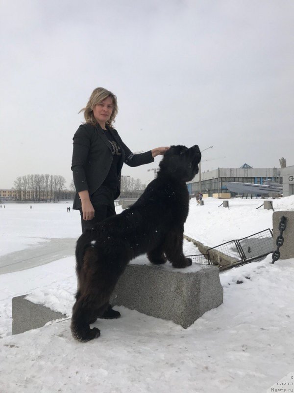 Фотография № 234136