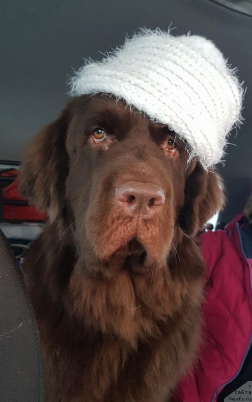 Фотография № 234157