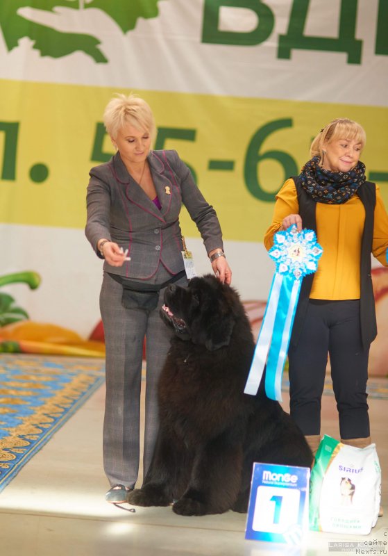 Фотография № 234160