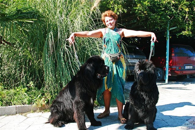 Фотография № 234163