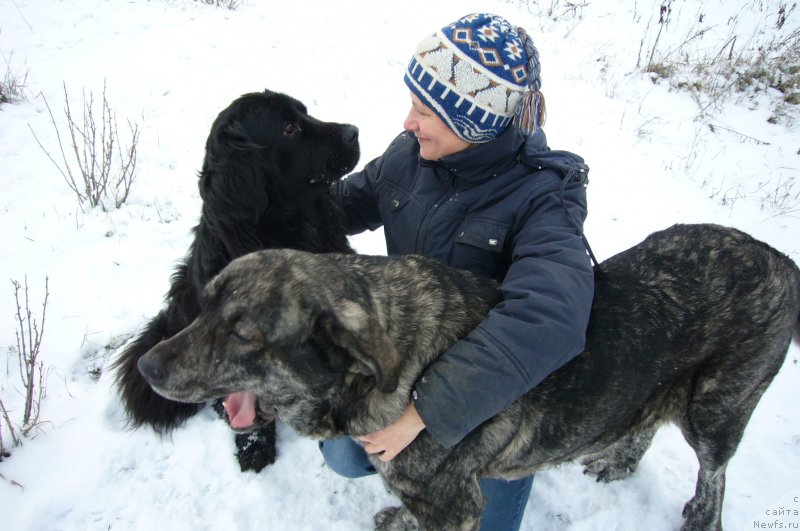 Фотография № 234181