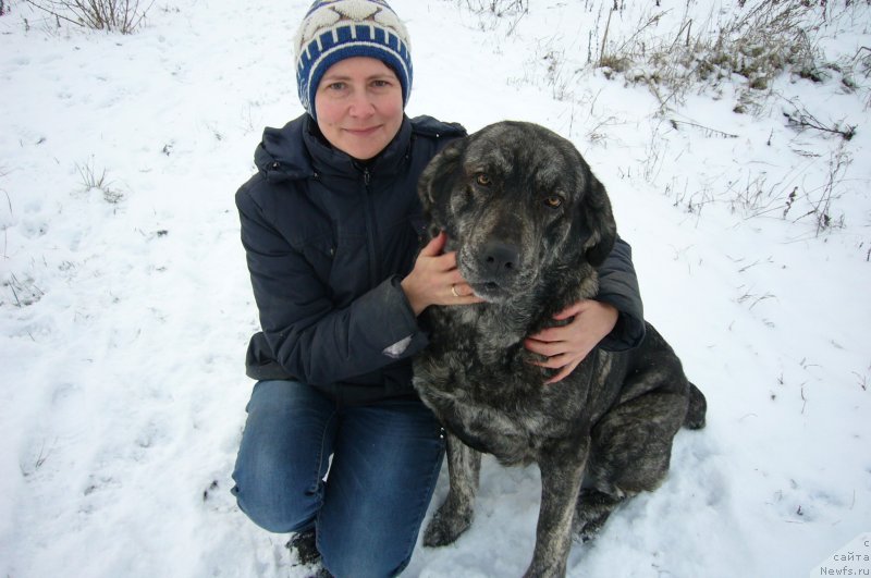 Фотография № 234182