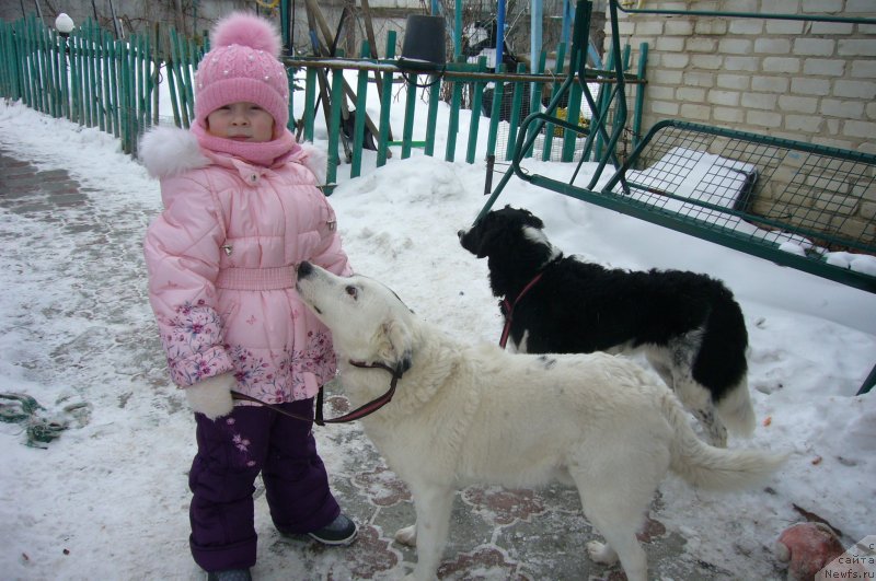 Фотография № 234187