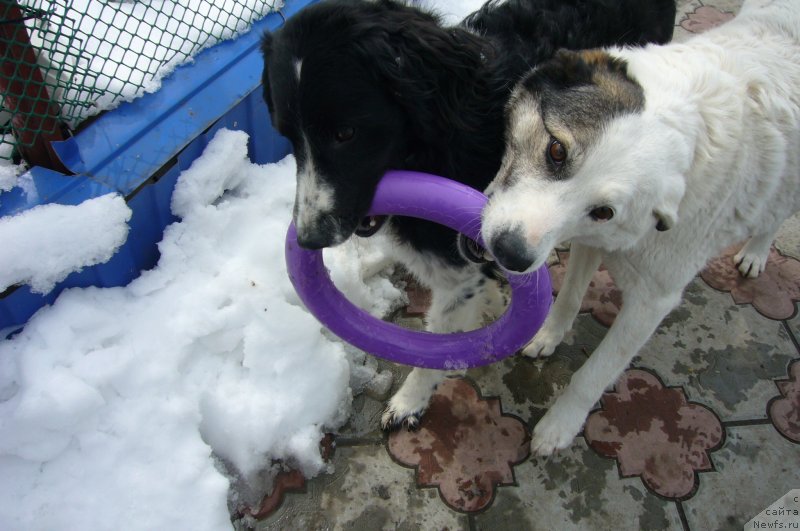 Фотография № 234189