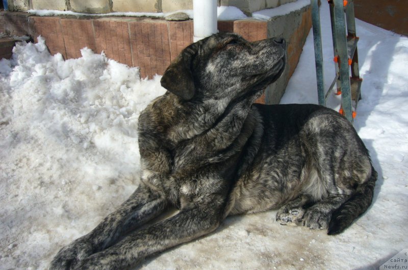 Фотография № 234191