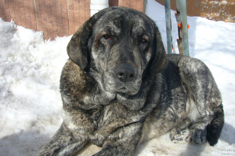 Фотография № 234192