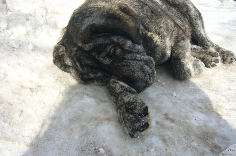 Фотография № 234193