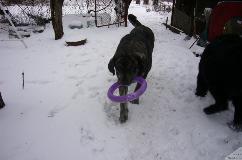 Фотография № 234197