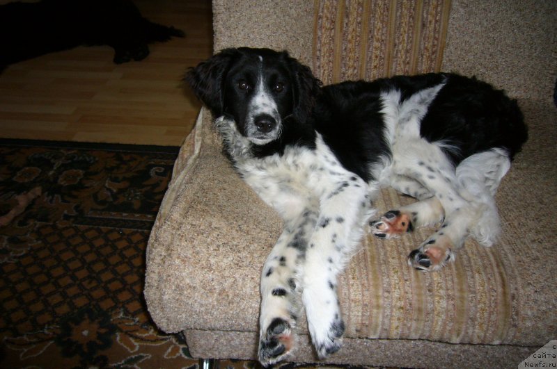 Фотография № 234199