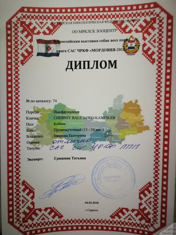 Фото: ньюфаундленд Черный Балу Лорд-Канцлер (Cherniy Balu Lord-Kantsler)