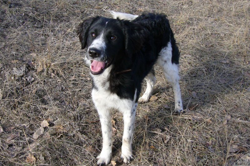 Фотография № 234202