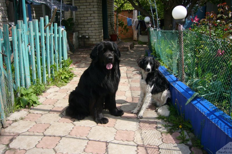 Фотография № 234206