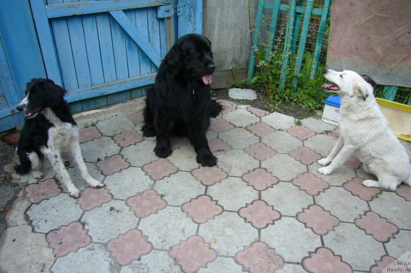 Фотография № 234207