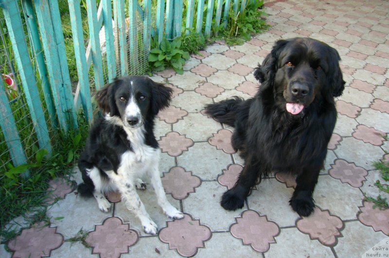 Фотография № 234209