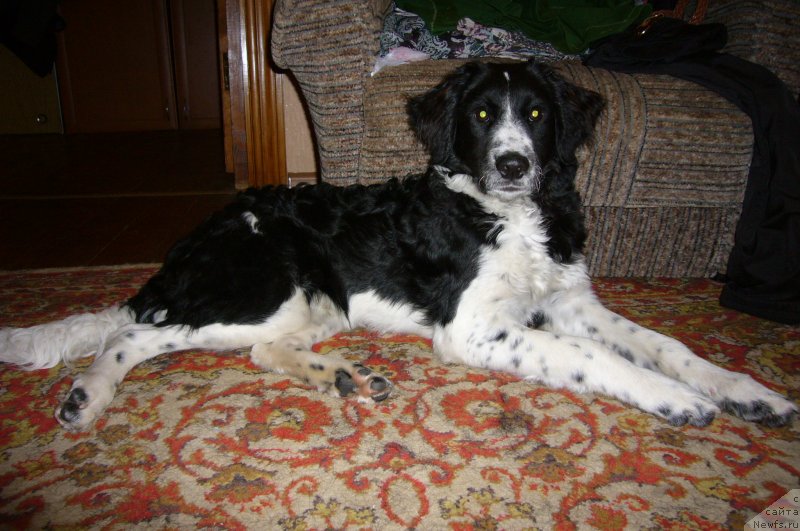 Фотография № 234210